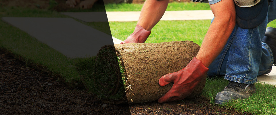 Driggs Landscapers